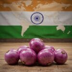 How-to-Export-Onions-From-India-in-2025